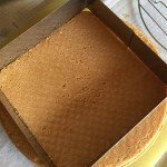 Torta tiramisù