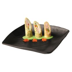 sushi dish