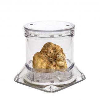 truffle container